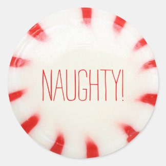 Christmas Holiday Stickers Nice or Naughty