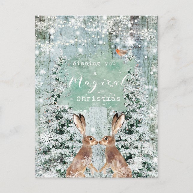 christmas holiday winter robin hares postcard (Front)