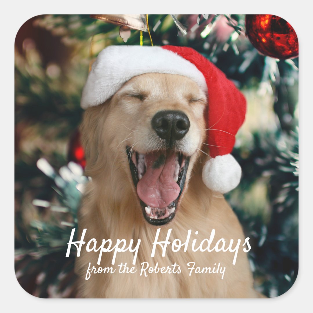 Christmas Holidays Golden Retriever Custom Name Square Sticker | Zazzle