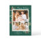 Christmas Holly Berries Classic Red Green 3 Photo