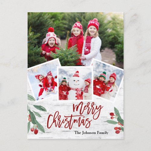 Christmas Holly Berry Birch Bark 4 PHOTO Greeting Holiday Postcard