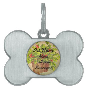 Christmas Holly Pet Tag by DoggieAvenue at Zazzle