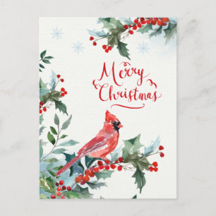 Christmas holly, red Cardinal, Holiday Postcard