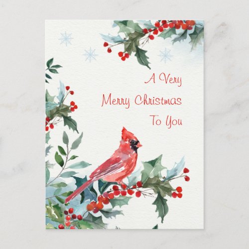Christmas holly red Cardinal Holiday Postcard
