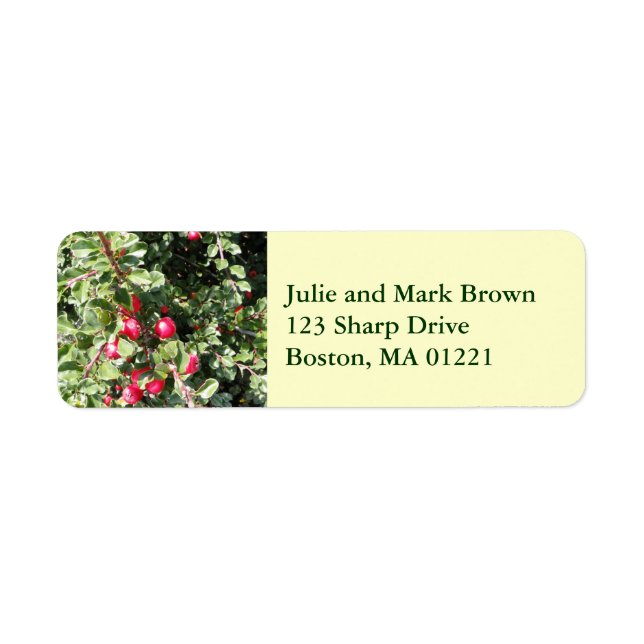 Christmas Holly Return Address Label (Front)