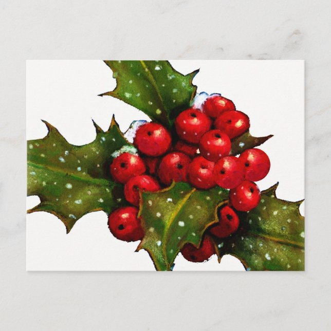 Christmas Holly With Berries and Snow: Art Holiday Postcard (Front)
