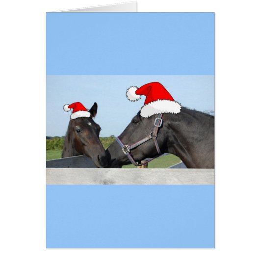 Christmas Horse and Poney (Front)