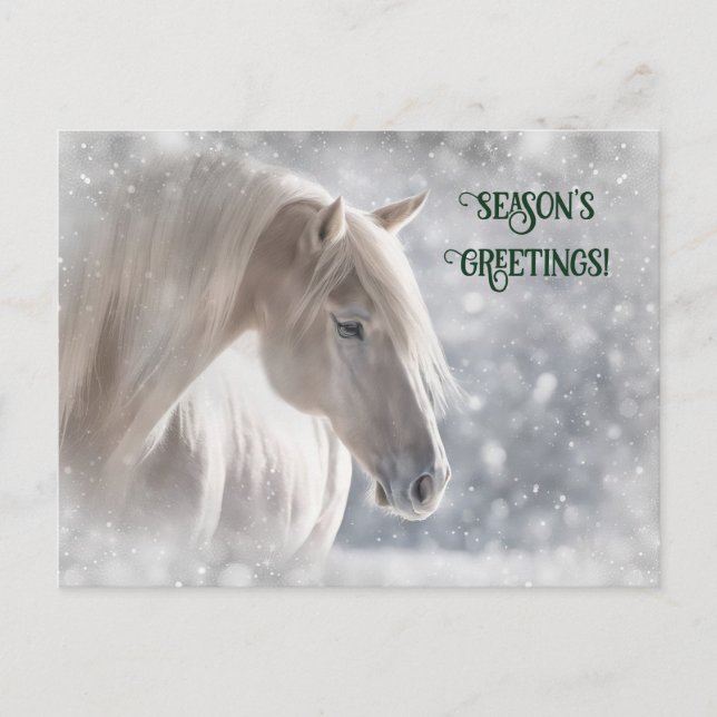 Christmas Horse and Snow Postcard (Front)