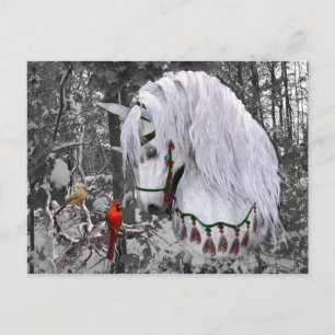 Christmas Horse & Cardinals Postcard