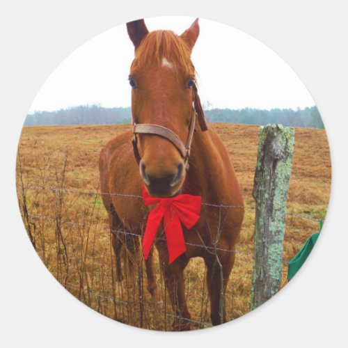Christmas Horse Classic Round Sticker