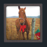 Christmas Horse Gift Box<br><div class="desc">Christmas Horse Photo by Sandy Closs "Kissing under the mistletoe" , " Christmas Horse ",  Mistletoe ,  "funny horse""horse at christmas""christmas horse", christmas, ,  xmas horse,  horses</div>