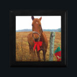 Christmas Horse Gift Box<br><div class="desc">Christmas Horse Photo by Sandy Closs "Kissing under the mistletoe" , " Christmas Horse ",  Mistletoe ,  "funny horse""horse at christmas""christmas horse", christmas, ,  xmas horse,  horses</div>