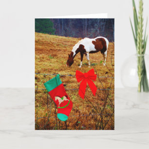 Christmas Horse Holiday Card