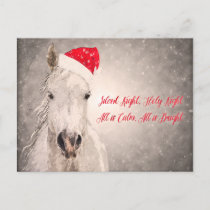 Christmas Horse PostCard Holiday Greetings