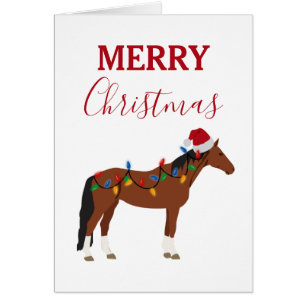 Christmas Horse Santa Hat Xmas Lights Xmas Cards