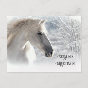 Christmas Horse Seasons Greetings  Holiday Postcard