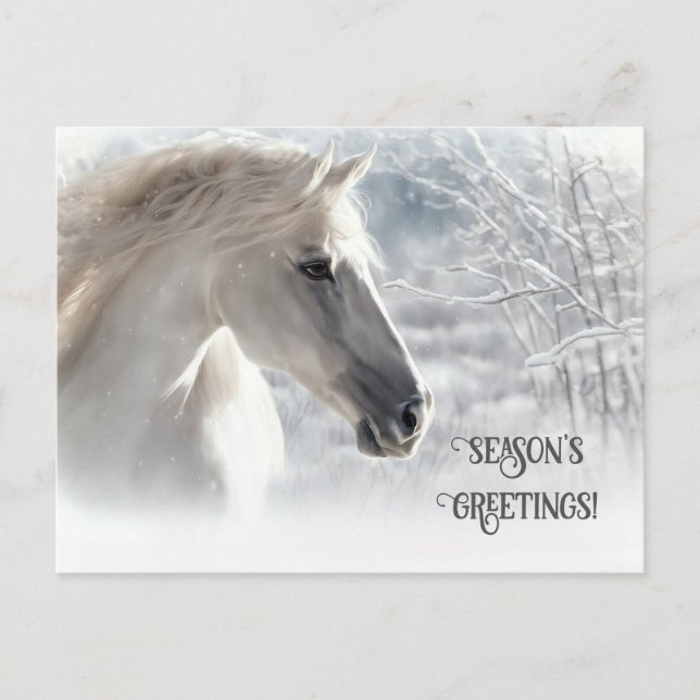 Christmas Horse Seasons Greetings  Holiday Postcard (Front)