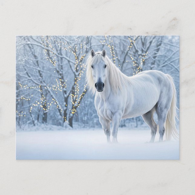 Christmas Horse Snow Lights Holiday Postcard (Front)