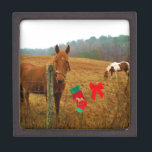 Christmas Horse with bow and stocking Gift Box<br><div class="desc">Christmas Horse with bow and stocking  Photo by Sandy Closs "Kissing under the mistletoe" , " Christmas Horse ",  Mistletoe ,  "funny horse""horse at christmas""christmas horse", christmas, ,  xmas horse,  horses</div>