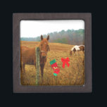 Christmas Horse with bow and stocking Gift Box<br><div class="desc">Christmas Horse with bow and stocking  Photo by Sandy Closs "Kissing under the mistletoe" , " Christmas Horse ",  Mistletoe ,  "funny horse""horse at christmas""christmas horse", christmas, ,  xmas horse,  horses</div>