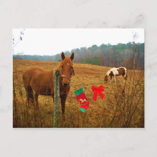 Christmas Horse with bow and stocking Holiday Postcard