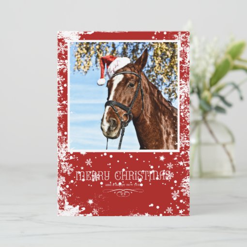 Christmas horse with hat holiday card | Zazzle