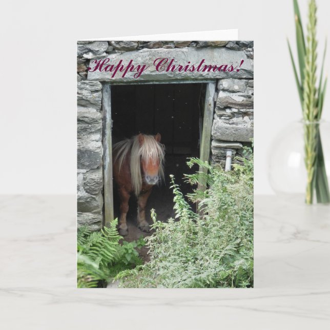 CHRISTMAS HORSES AND PONIES HOLIDAY CARD (Front)