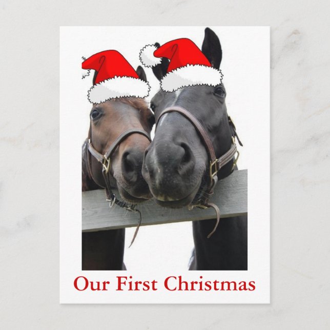 Christmas Horses Holiday Postcard (Front)
