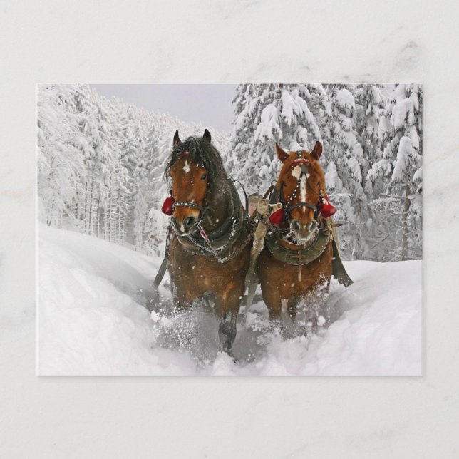 Christmas Horses Holiday Postcard (Front)