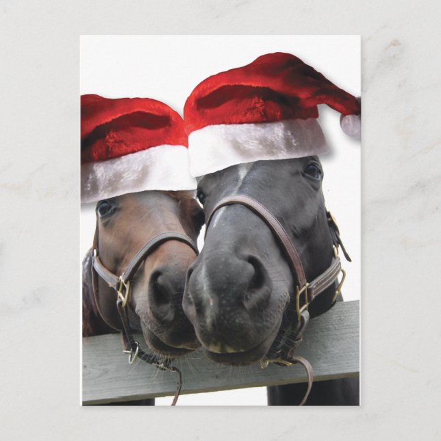 Christmas Horses With Santa Hats Holiday Postcard (Front)