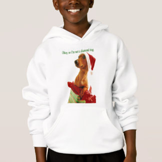 Christmas Humor Hoodie