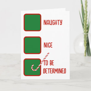 Christmas Humor Naughty Or Nice Check Boxes  Card