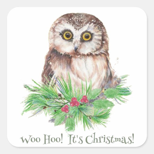 Christmas Humor Quote Cute Owl Bird Square Sticker (Front)