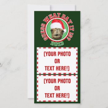 Christmas Hump Day Camel 2013 Photo Cards by LaughingShirts at Zazzle