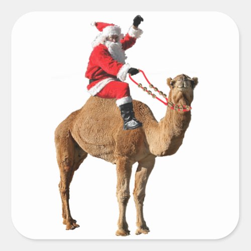 Christmas Hump Day Camel and Santa Square Sticker