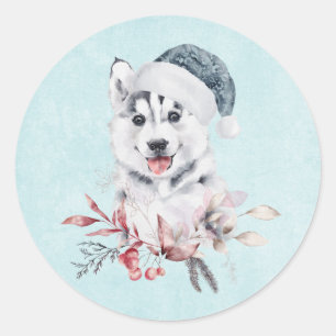 Christmas Husky Dog in a Santa Hat Classic Round Sticker
