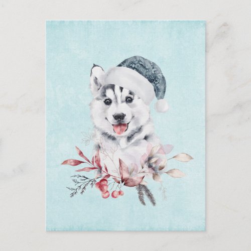 Christmas Husky Dog in a Santa Hat Postcard