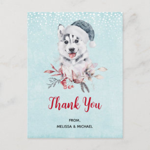 Christmas Husky Dog in a Santa Hat Thank You Postcard