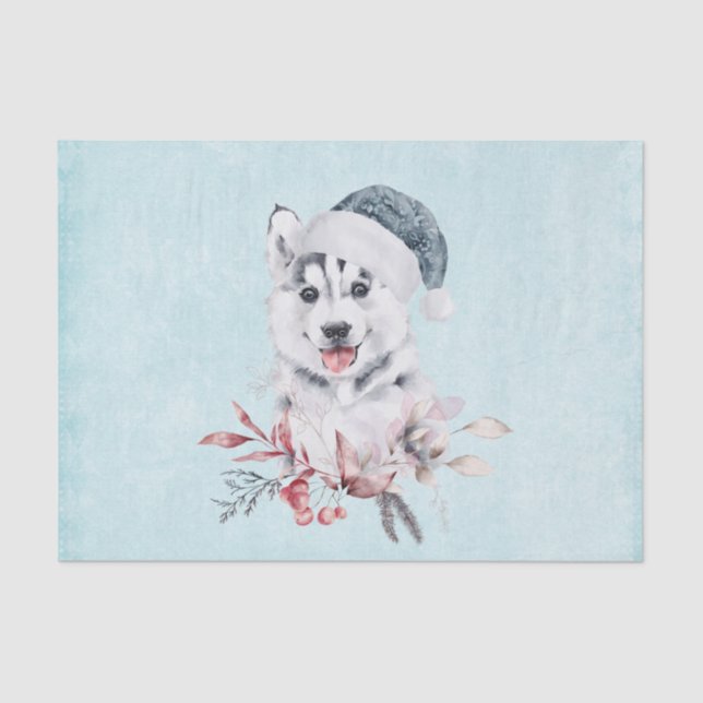 Christmas Husky Dog in a Santa Hat Tissue Paper (Front)