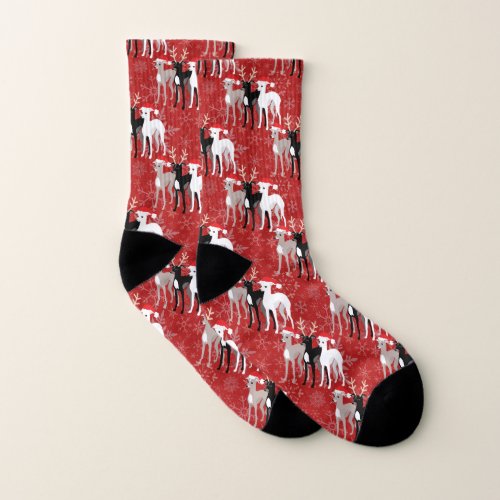 Christmas Iggy Italian Greyhounds or Whippets Red Socks