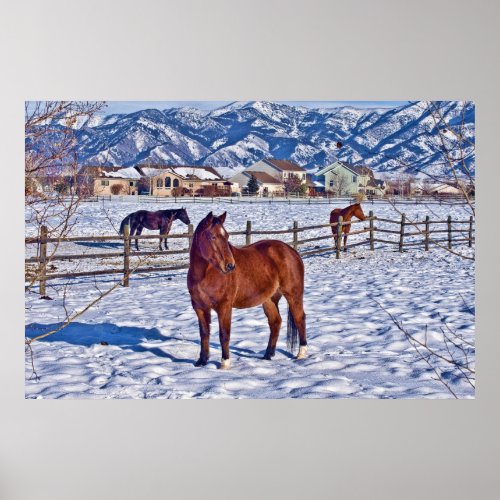 Christmas in Bozeman Montana Poster