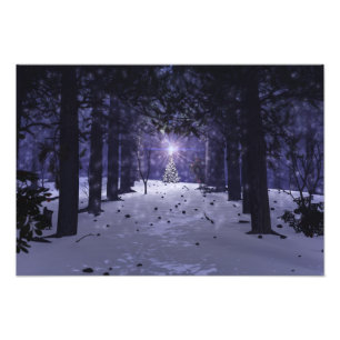 Christmas in the Pines Photo Print