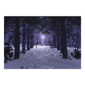 Christmas in the Pines Photo Print