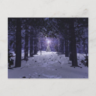 Christmas in the Pines Postcard