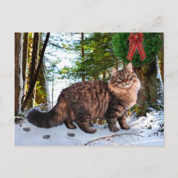 "christmas In The Woods" Postcard by TabbyHallDesigns at Zazzle