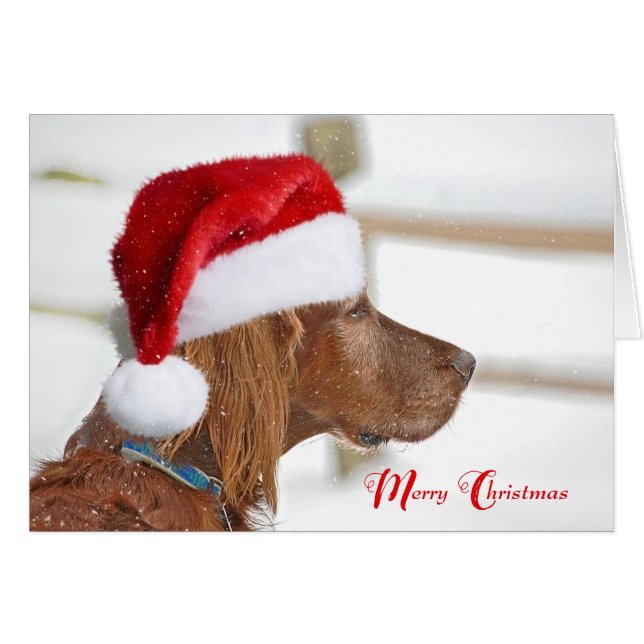Christmas Irish Setter in snowflakes Cards (Front Horizontal)
