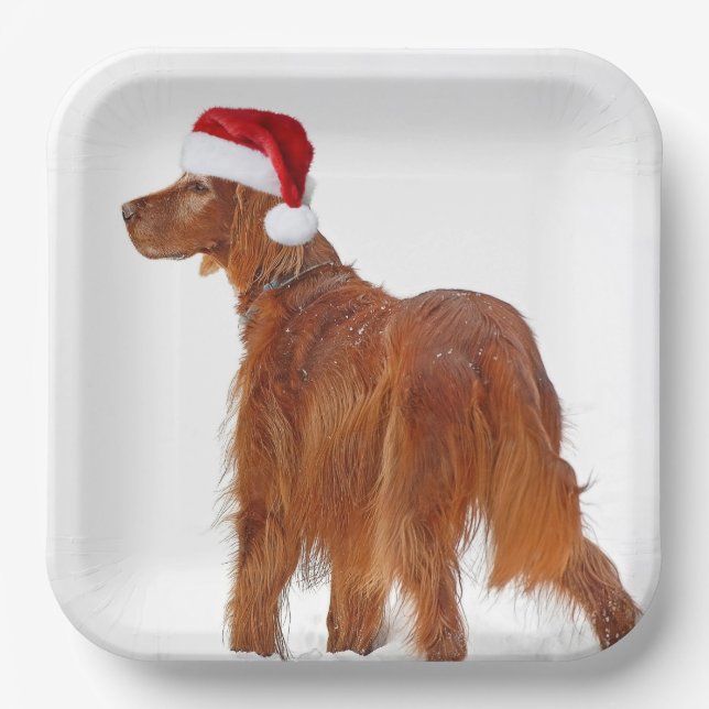 Christmas Irish Setter  Paper Plates (Front)