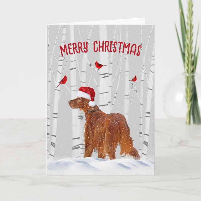 Christmas Irish Setter with Birch Trees Holiday Card (Front)