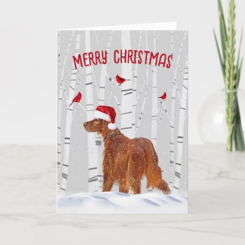 Christmas Irish Setter with Birch Trees Holiday Card