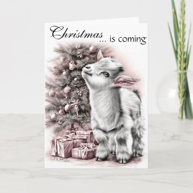 Christmas is Coming Baby Goat Holiday Card (Front)